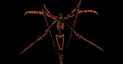 deathspell omega interview